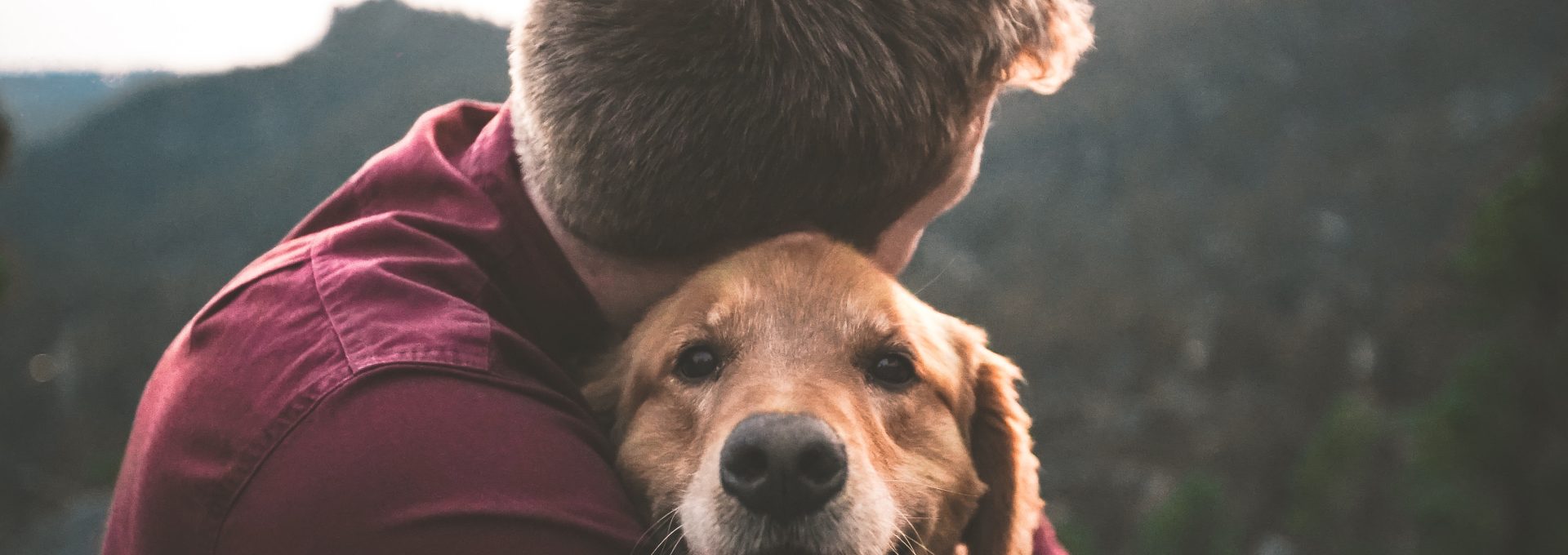 photo of man hugging tan dog