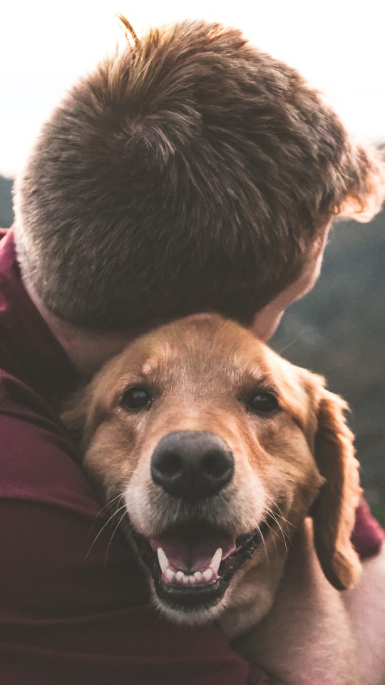 photo of man hugging tan dog